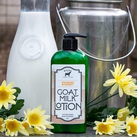 Goat Milk and Shea Butter Lotion 8 Oz (Berries N Cream)