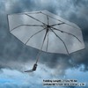 WPKD BLUEIY Transparent Folding Umbrella, Portable Trifold Rain Umbrellas, Lightweight