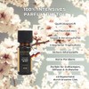 pajoma pajoma Duft?l 10 ml, Mandelblte - Golden Line |
