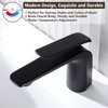 TOCALOCA Black Bathroom Sink Faucet, Matte Black, Modern Design, Single