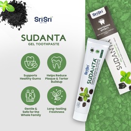 Sri Sri Tattva Sudanta Charcoal Toothpaste Gel – SLS Free & Fluoride Free Herbal Toothpaste with Neem & Ayurvedic Herbs – Natural Whitening & Gum Care – 100 g Tube (Pack of 1)