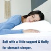 Gooeb Flat Bed Pillows Queen Size Set of 2 Soft