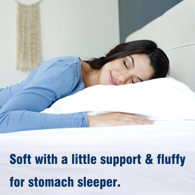 Gooeb Flat Bed Pillows Queen Size Set of 2 Soft