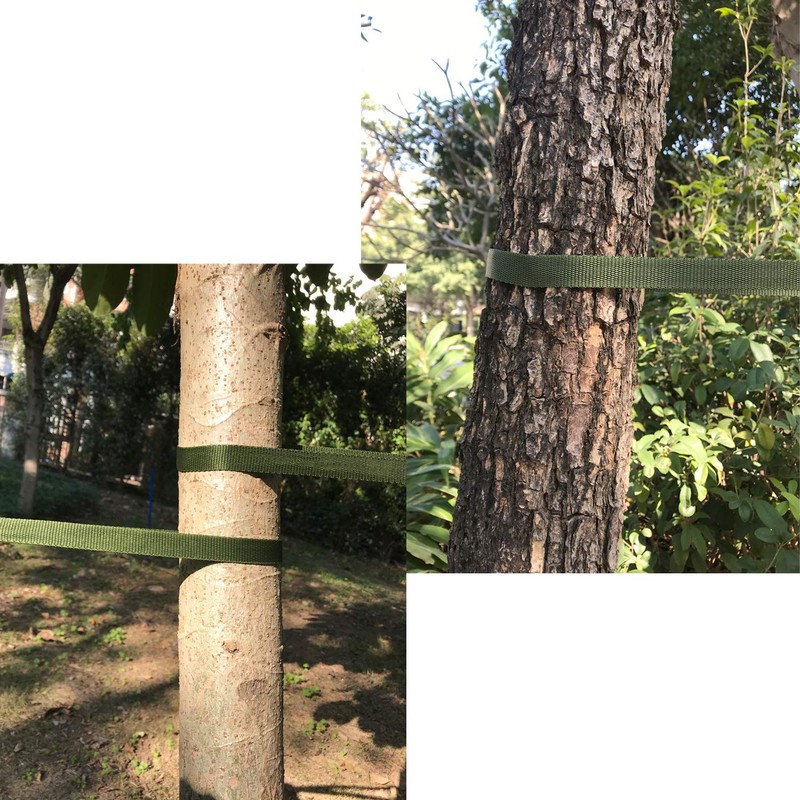 Alshurlife Tree Tie Straps 50 Feet x 3/4 inch Tree