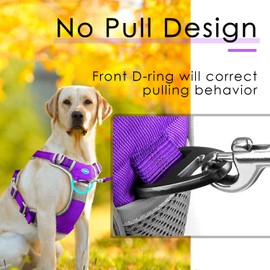 ThinkPet No Pull Harness Set Breathable Sport Harness with Handle - Reflective Padded Dog Safety Vest with Reflective Neon Dog Leash L Harness Leash Pack Purple