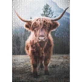 Ulmer Puzzleschmiede Highland Animal Jigsaw Puzzle, Classic 1000 Piece Jigsaw, Powerful Highland Cow in a Pasture in Front of a Frosty Alpine Backdrop