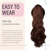 Dcbaboo Ponytail Extension Curly 18inch Claw Clip in Ponytail Hair