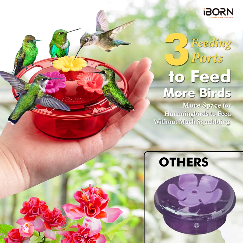 iBorn Handheld Hummingbird Feeders for Outdoors, Hummingbird Hand Feeder 3OZ