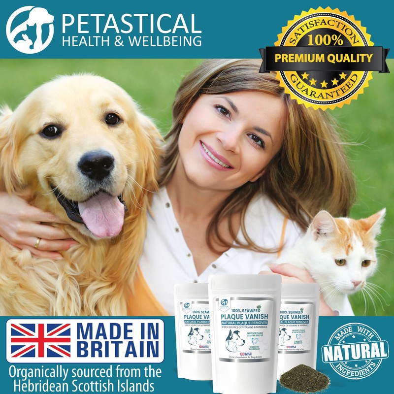 Petastical Plaque Vanish | Plaque Off Dogs, Cats | Banish