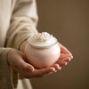 DiDiBirDi Mini Urn, Urn for Partial Bone, Urn Cover for