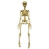 MORRIS COSTUMES Skeleton 36 Inch