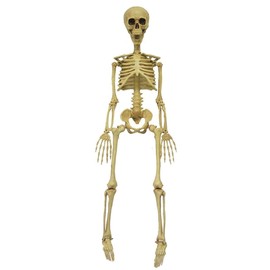 MORRIS COSTUMES Skeleton 36 Inch