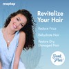 MopTop Daily Curly Hair Conditioner – Hair Moisturizer to Restore