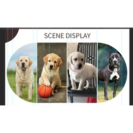 Silver XXS Dog Cuban Link Chain,Dog Chain Bling Necklaces Cats Metal Crystal Sparkly Diamond Rhinestone Puppy Chain Collars for Small Medium Large Gilrs Female Boys,8 inch