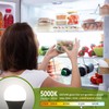 GIOVAR 2-Pack LED Refrigerator Light Bulbs 40 Watt Equivalent 120V,