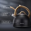 Tea Kettle for Stove Top, Food Grade Stainless Steel Whistling