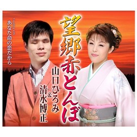 望郷赤とんぼ/あなた命の恋だから