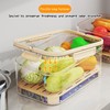 ZQZXD Insulated Cold Food Storage Container with Handle & Lid,