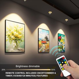 HEAGEERO Wireless Spotlights,Remote Control Accent Light,Battery Picture Light with 2 Remote,Rotatable Accent Light for Art Closet Wall Uplight(G+SL)