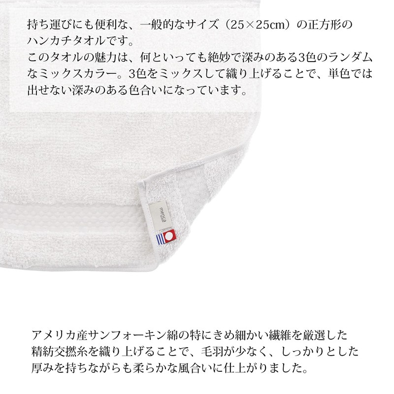Tanaka Sangyo Handkerchief Imabari Towel Menka Sprout, White, Approx. 9.8