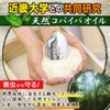 Lec Rice Bitsu, Silver Rice Crush (Repels Rice Insects), 22.0