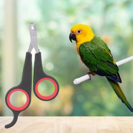 Parrot Wing Clippers, Solid Stainless Steel Bird Nail Clipper, Bird Nail Clipper 4.6X2.4X0.2In Animal Rope Thick For Soft Paddle For Tools