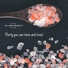 Willow & Everett 10oz 283g Himalayan Pink Rock Salt for