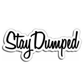 Stay Dumped JDM Style Decal Sticker Custom Die-Cut Vinyl Turbo Lowered Hella Drift Illest Import Dope