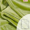 Ibena home blanket microfiber apple green size 150x200 cm
