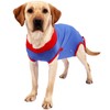 Dog Recovery Suit Stretchy Prevent Licking Adjustable Pet Post Surgery