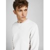 JACK & JONES Male Sweatshirt Plain Sweatshirt with Crew Neck,