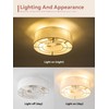 YMKSKJ Low Profile Ceiling Fans with Lights, 20" Boho Rattan