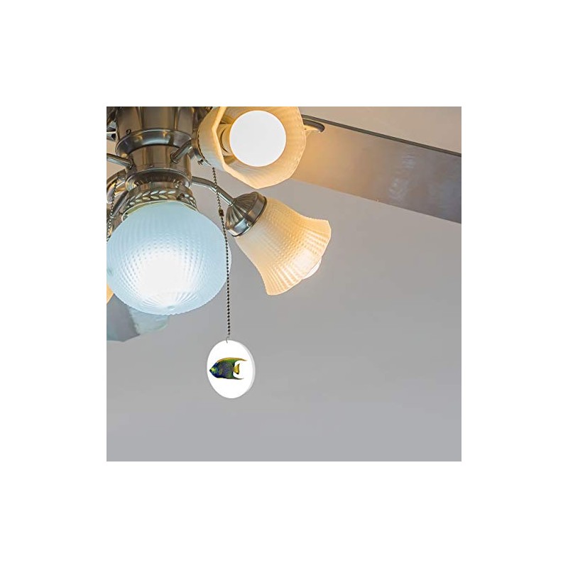 Tropical Angelfish Fan/Light Pull