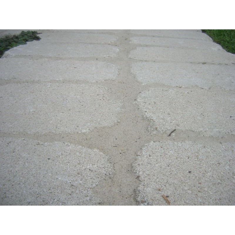 ConSANDtrate Polymeric Sand Concentrate P2 (Portland & Polymer). 10 lb