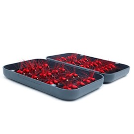 ANCLLO 40Pcs Red Ant Fishing Flies Kit Trout Salmon Flies Fly Tackle Set Box Fly Fishing Lure Ant Fly Set