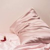 Light Pink Silk Pillow Cases Zipper Closure-Real Silk Pillowcase for