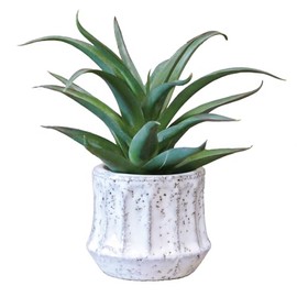 KI Japan 168744 Epeepot Aloe