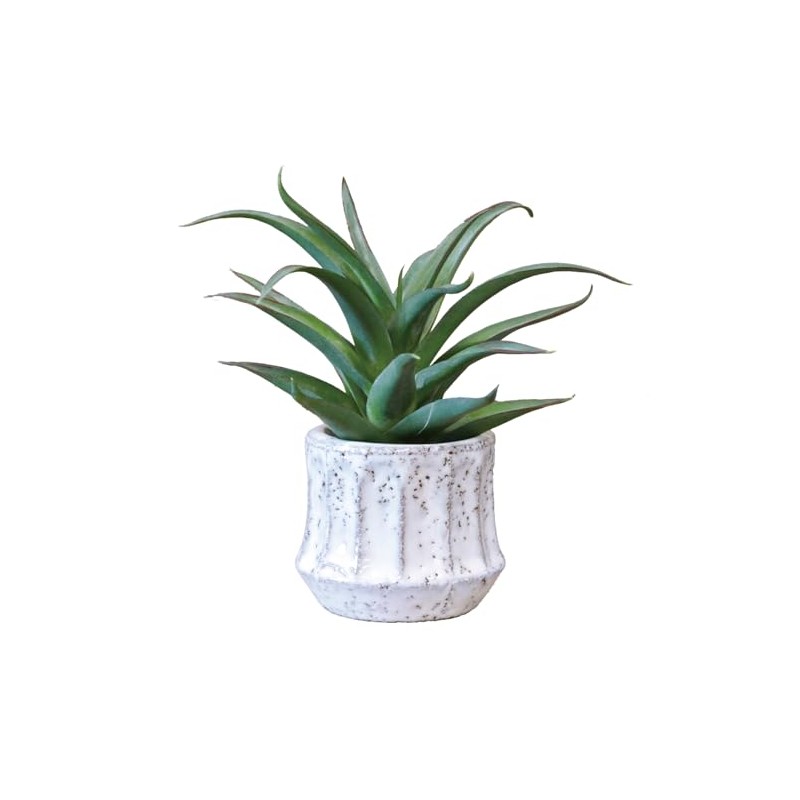 KI Japan 168744 Epeepot Aloe