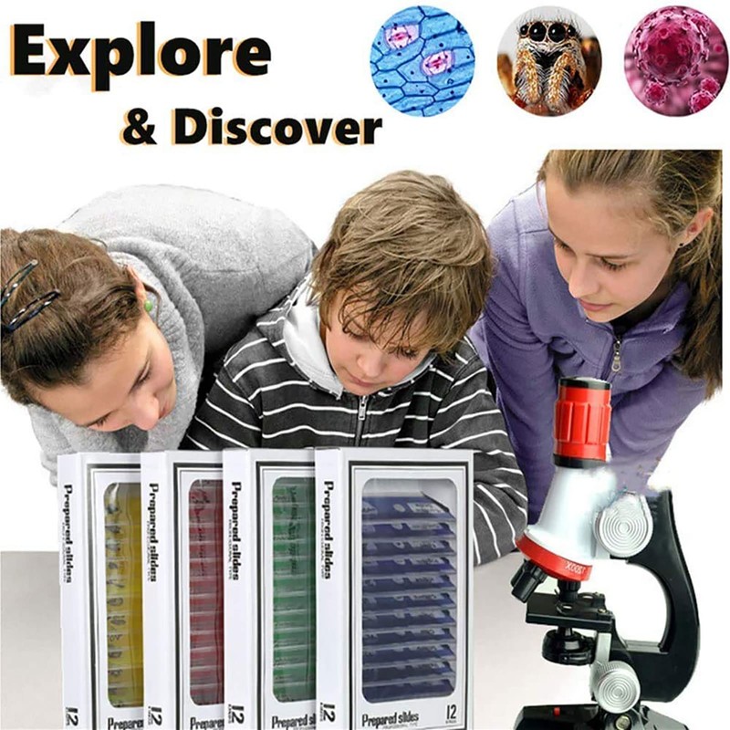 48 Pieces Microscope Accessories, Microscope Slides with Biological Samples, 24
