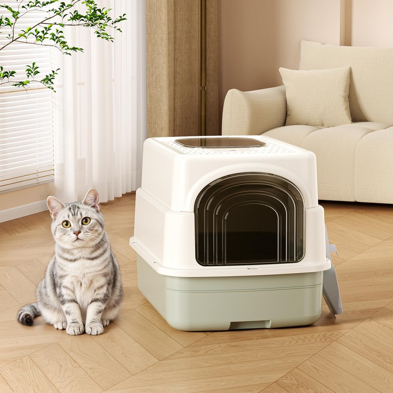 Basics Cat Litter Box with Lid,Fully Enclosed Litter Box with