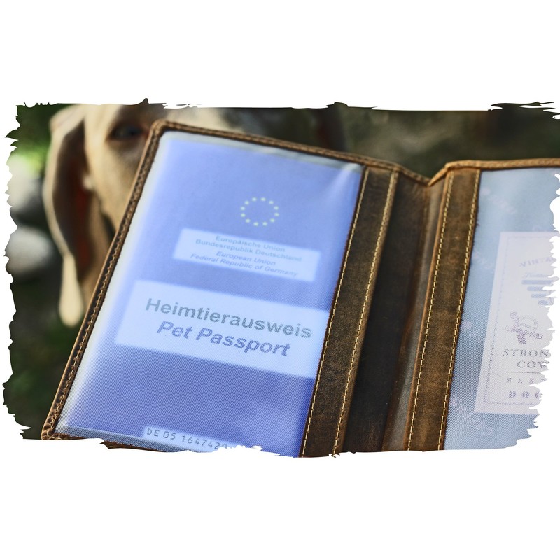 Greenburry Protective Cover for Vaccination Certificate Brown 16.5 x 1.5