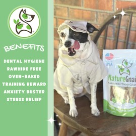 Nature Gnaws USA Beef Tendons for Dogs (8oz) - Mixed Thickness - Long Lasting for Aggressive Chewers - Premium Natural Beef Dog Chew Treats - Rawhide Free