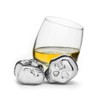 Club icecubes in Stainless Steel, 2-Pack