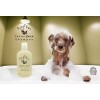 Pure Paws Factor Zero Shampoo | 16oz