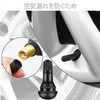 Air Valve, Tire Valve, Set of 10 with Spool, Tire