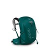 Osprey Tempest 20L Women's Hiking Backpack with Hipbelt, Jasper Green,