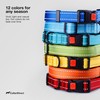 CollarDirect Reflective Dog Collar for Small Medium Large Dog Puppy