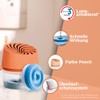 Pattex Aero 360° Compact Dehumidifier Peach Colour Collection, 1 Device
