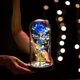 Beauty and The Beast Rose Enchanted Flower with LED Light in Glass Dome for Christmas Valentine's Day Mother's Day Birthday Best Gifts for Girlfriend Wife Women Her - Colorful - Blues