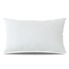 Artscope Luxury Velvet Cushion Covers Decorative Rectangle Pillowcases Soft Solid